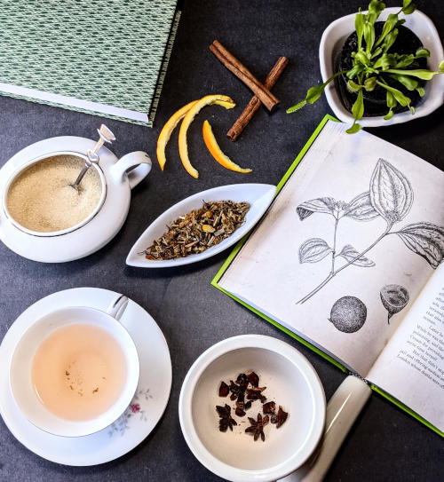 Top down image of tea leaves, sugar, a full teacup, some spices in a mortar with a pestle lying beside it, a book opened to a sketch of a flower, a closed book with a generic cover, a venus flytrap plant, two cinnamon sticks, and a few orange peels. All on a slate gray background.